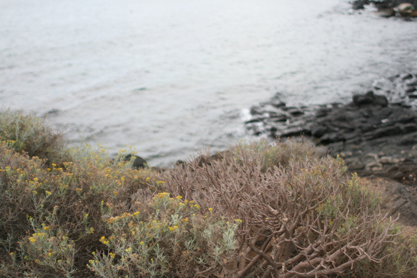 places_23_jw